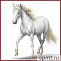 виски-white-horse